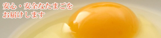 青森田子町自慢のにんにくを使ったたまご「にんにくたまご」 30個入り【たまごかけごはんにどうぞ!】 | 日本全国各地のお取り寄せモール風土jp