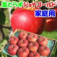 青森りんご 葉とらずジョナゴールド【ご家庭用】