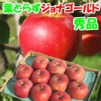 青森りんご 葉とらずジョナゴールド【秀品】