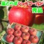 �Ŀ���󤴡��դȤ餺����ʥ�����ɡھ����١�