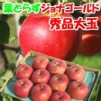 青森りんご 葉とらずジョナゴールド【秀品大玉】