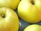 青森りんご 葉とらずりんご 王林【ご家庭用】