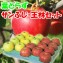 �Ŀ���󤴡��դȤ餺�դ�/���ӥ��å�