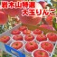 【送料無料】青森 岩木山特選りんご【贈答用】