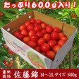 �Ŀ����������ܡ���ƣ�ӡ����ʡ�600g��M��2L���祵�������������Ѽ�ͤ��
