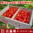 �Ŀ����������ܡ���ƣ�ӡ����ʡ�1.2kg��M��2L���祵�������������Ѽ�ͤ��