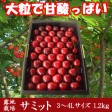 �Ŀ����������ܡ����ߥåȡ����ʡ�1.2kg��3��4L��������£���Ѽ�ͤ��