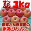 【数量限定!】青森りんご サンふじ 3kg(市場には出回らない訳あり品)