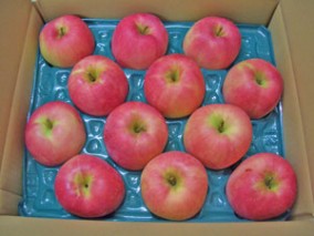 【数量限定!】青森りんご 陸奥(むつ) ご家庭用 5kg(市場には出回らない訳あり品) | 日本全国各地のお取り寄せモール風土jp