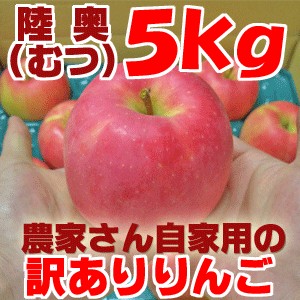 数量限定！】青森りんご 陸奥（むつ） ご家庭用 ５ｋｇ（市場には