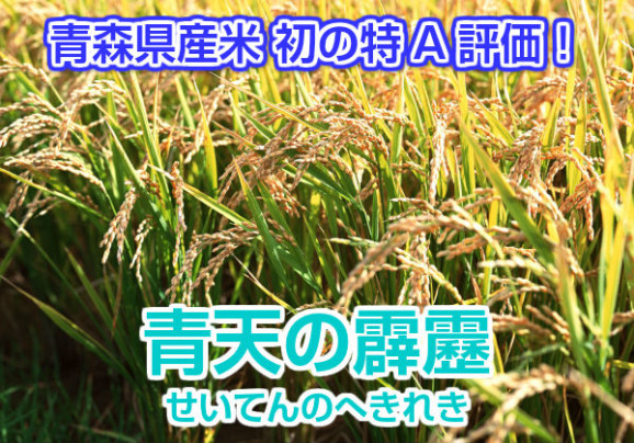 6ǯ ŷ 2 ƺ...