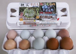 【埼玉県秩父産】特選鶏三種の卵食べくらべ 1箱（10個入り）