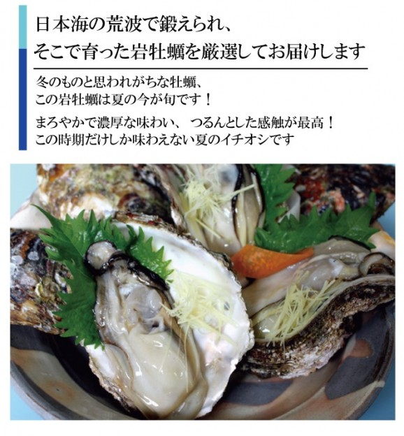 天然岩牡蠣(岩がき)【殻を割って】 | 日本全国各地のお取り寄せモール風土jp