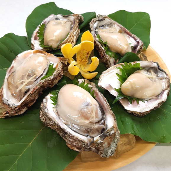 天然岩牡蠣(岩がき)【殻を割って】 | 日本全国各地のお取り寄せモール風土jp