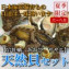 【日本海産】天然貝セット