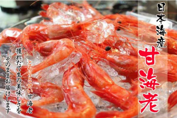 【日本海産】甘海老 | 日本全国各地のお取り寄せモール風土jp