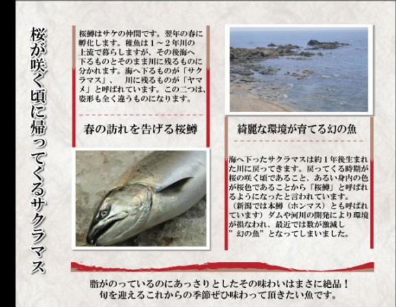 本鱒(サクラマス)2.5kg【1尾】 | 日本全国各地のお取り寄せモール風土jp