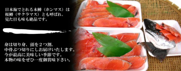 本鱒(サクラマス)2.5kg【1尾】 | 日本全国各地のお取り寄せモール風土jp