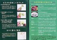 贈答品わさび【6点+茶セット】 | 日本全国各地のお取り寄せモール風土jp