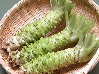 【静岡有東木産】日本最古のわさび農家の「業務用わさび」