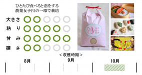 ľơơ5 | ϤΤ󤻥⡼jp