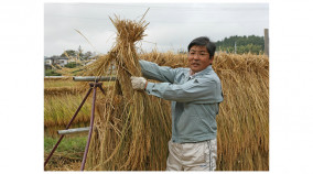 ľơͭJASĤΥҥ꾮ɱץߥ4kg2kg2ޡ | ϤΤ󤻥⡼jp