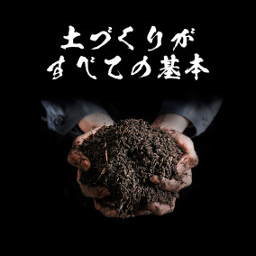 ľơ̺ơ̴5kg | ϤΤ󤻥⡼jp