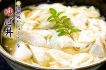 ����������Ч�ܵ�夲��У���
