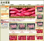 芋職人でんでん鳴門金時栽培出村農園