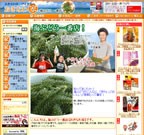 おきなわ家